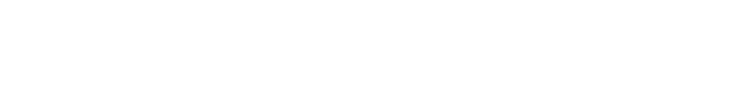 Analoge Fahrregler der Extraklasse SFR 2000